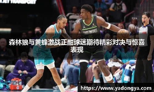 森林狼与黄蜂激战正酣球迷期待精彩对决与惊喜表现