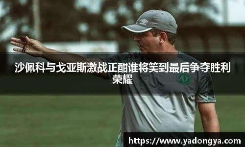 开云电竞